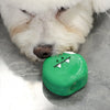 Latex Dog Squeaky Toy